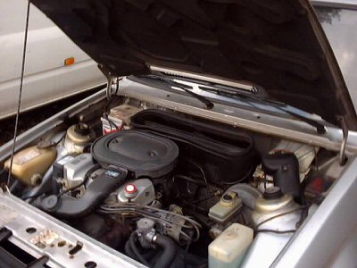 1,6 Liter CVH (Vergaser)